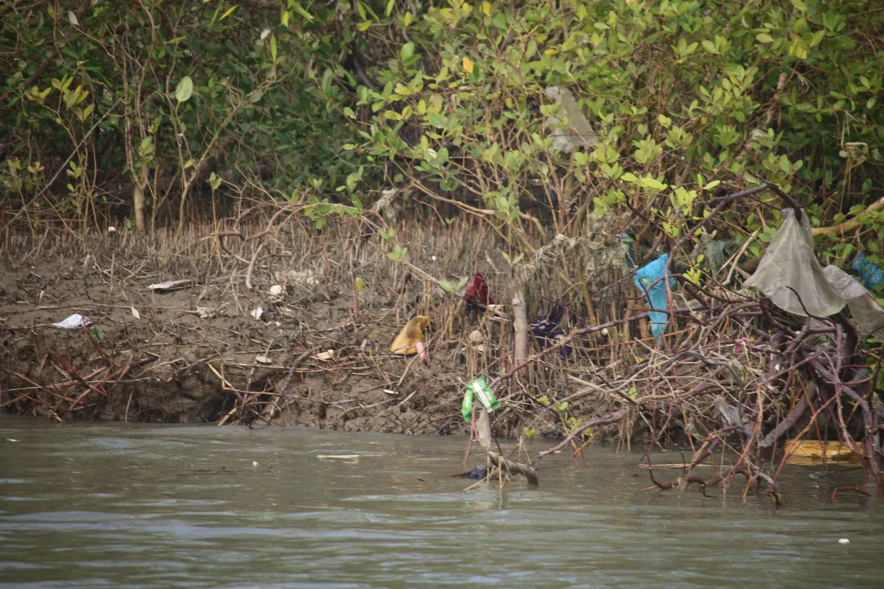 Saint Martin's Field Work