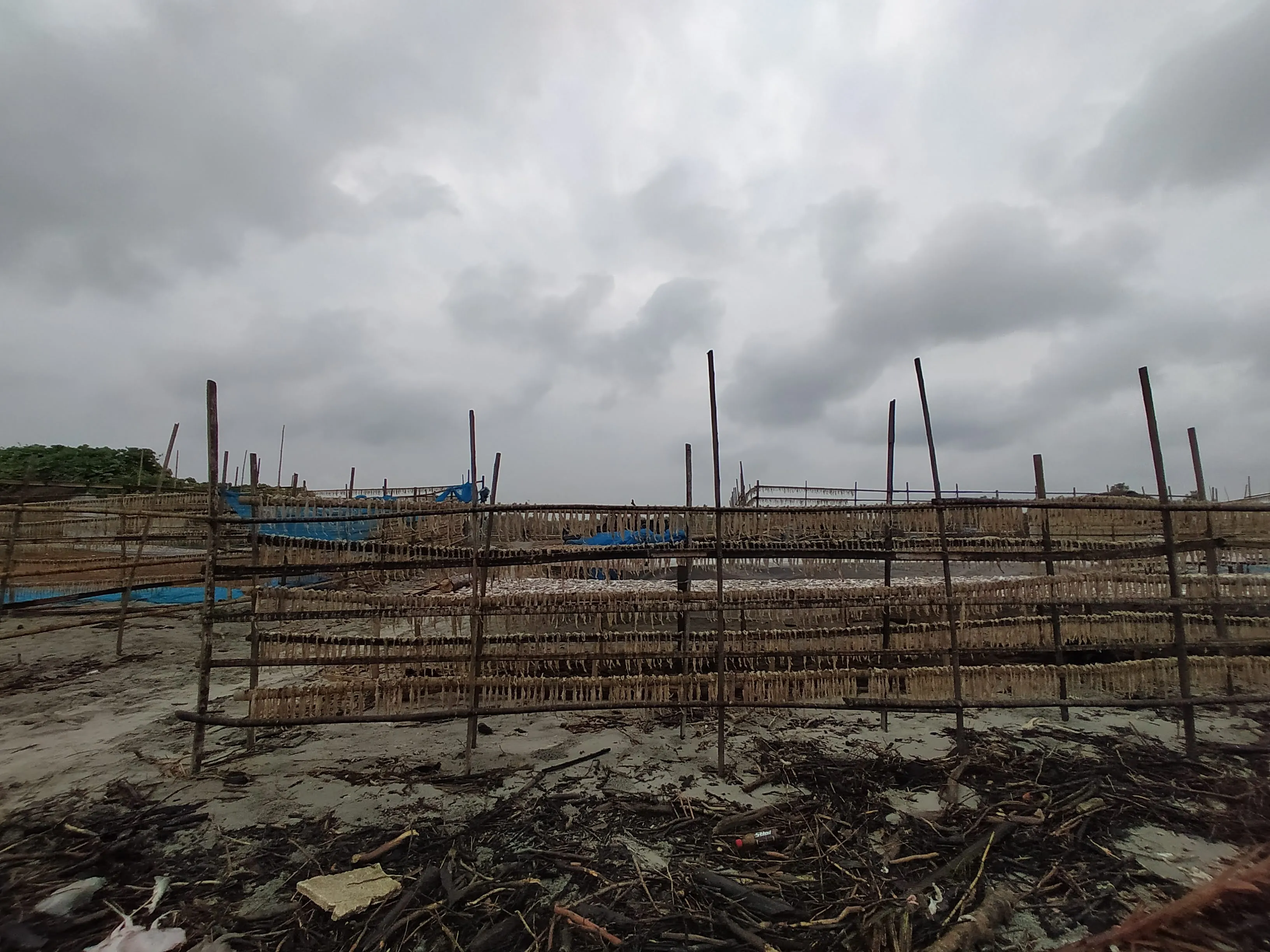 Sundarban Field Work